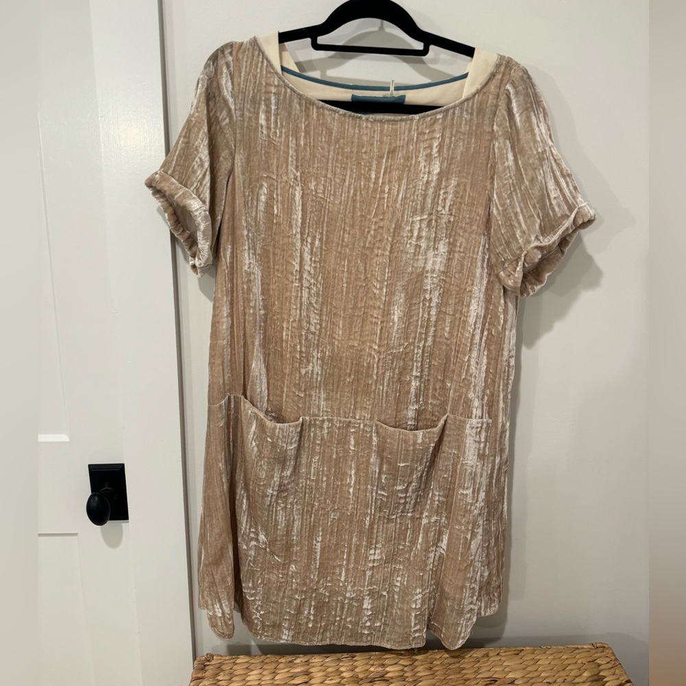 Anthropologie Crushed Velvet Dress
